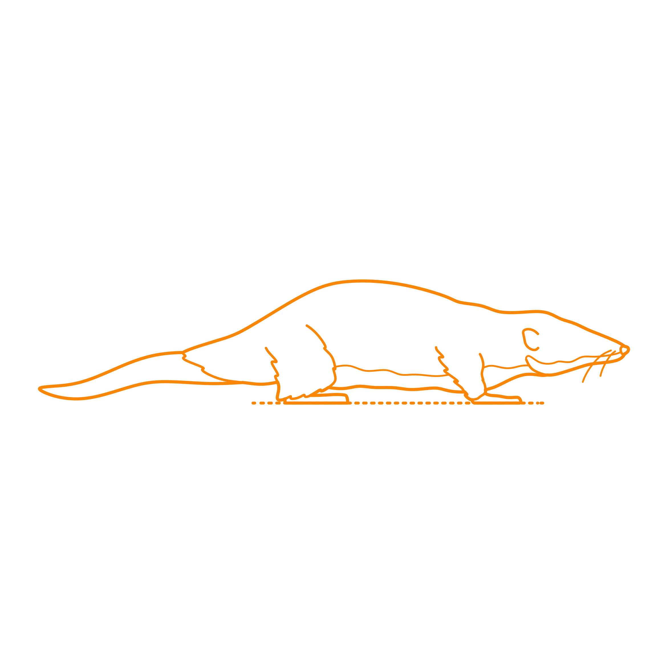 Animals African Insectivores Giant Otter Shrew Editable Svg Line Art Free Vectors
